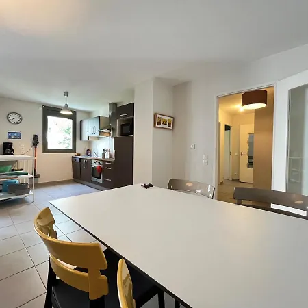 3 Pieces Renove Avec Balcon, Ascenseur Et Garage En Plein Centre D'annecy - Fr-1-432-85 Lejlighed Annecy